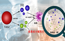 �W�������|ý�߻��Լ���������